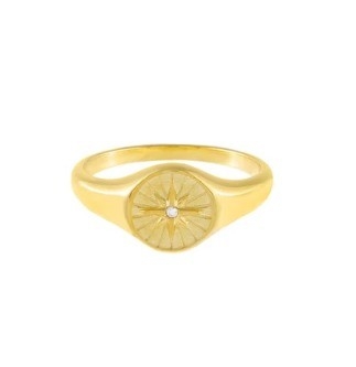 Nhẫn ấn bạc Sterling tùy chỉnh Phụ nữ Nhẫn ấn vàng 18K Phụ nữ